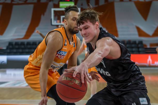 的多样性 的多样性